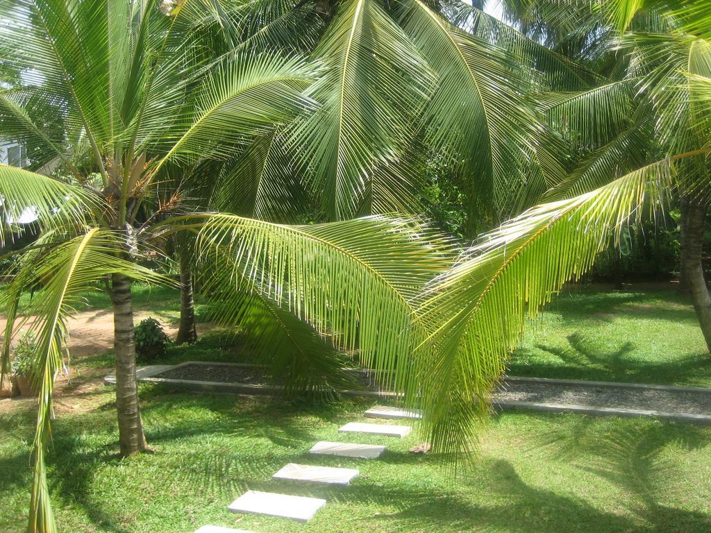 Liyana Holiday resort Anuradhapura Exterior foto