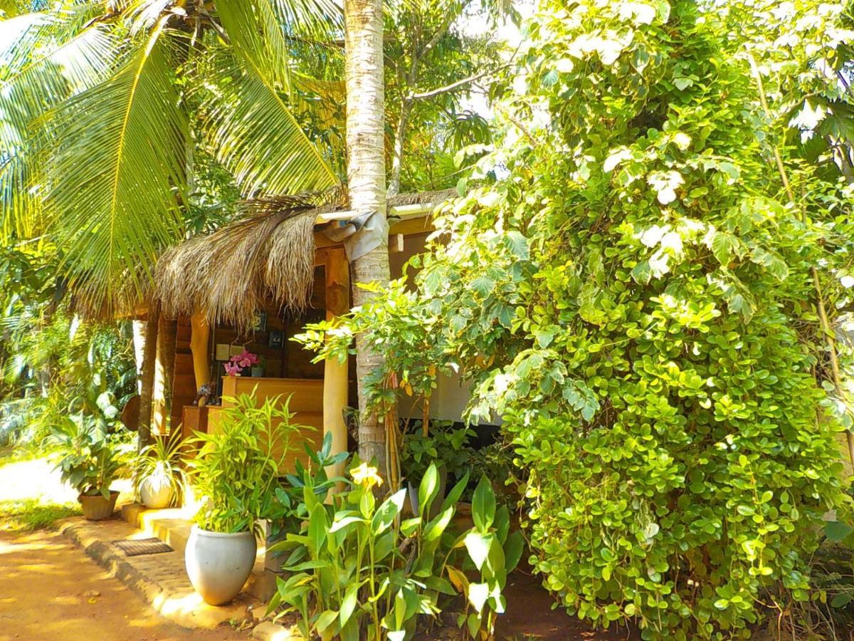 Liyana Holiday resort Anuradhapura Exterior foto